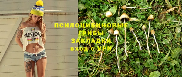 мяу мяу мука Дмитров