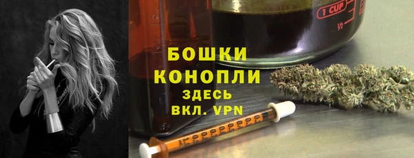 spice Дмитровск