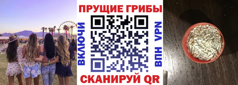 Галлюциногенные грибы мицелий купить закладку MEGA онион Сокол