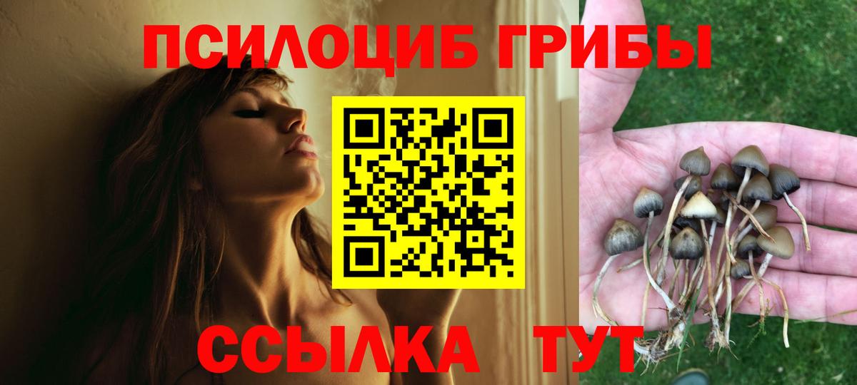 Сокол  Галлюциногенные грибы ЛСД  Вход с VPN 
