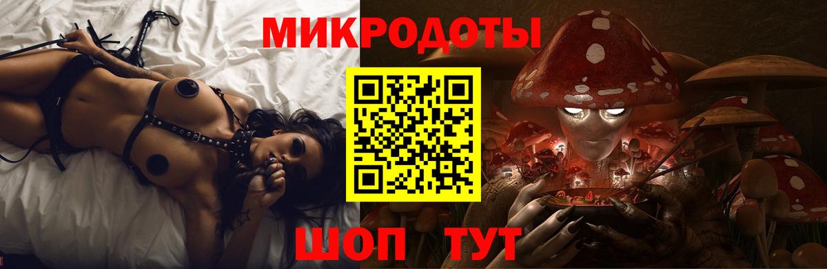 Псилоцибиновые грибы Psilocybine cubensis Сокол