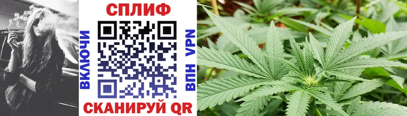 Шишки марихуана LSD WEED Сокол